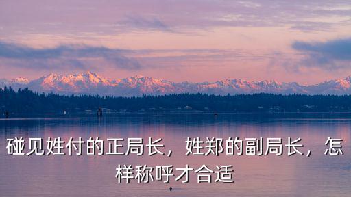 碰見姓付的正局長，姓鄭的副局長，怎樣稱呼才合適