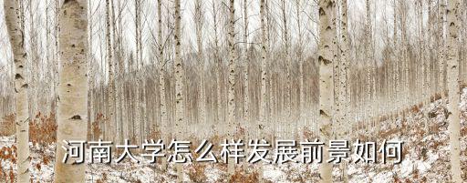 河南大學(xué)怎么樣發(fā)展前景如何