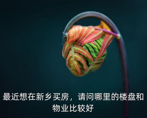 最近想在新鄉買房，請問哪里的樓盤和物業比較好