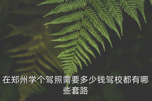 鄭州買個c1駕駛證多少錢2015,在鄭州學個駕照需要多少錢
