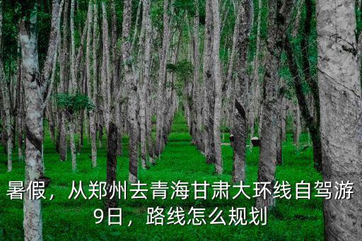 暑假，從鄭州去青海甘肅大環線自駕游9日，路線怎么規劃