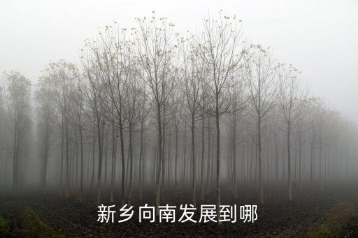 新鄉向南發展到哪