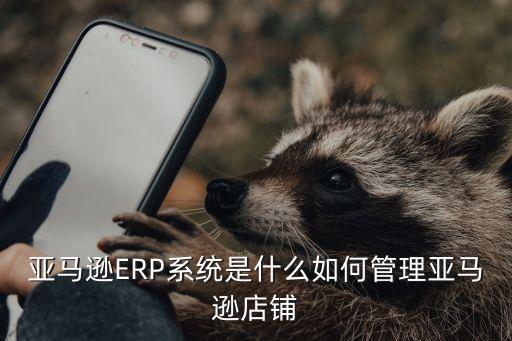亞馬遜ERP系統是什么如何管理亞馬遜店鋪