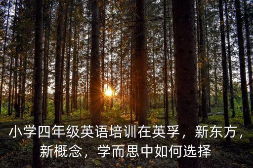 小學(xué)四年級英語培訓(xùn)在英孚，新東方，新概念，學(xué)而思中如何選擇