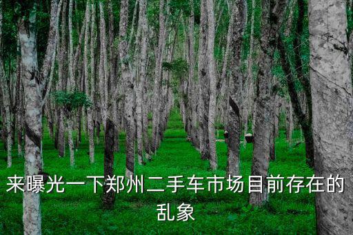 來曝光一下鄭州二手車市場目前存在的亂象