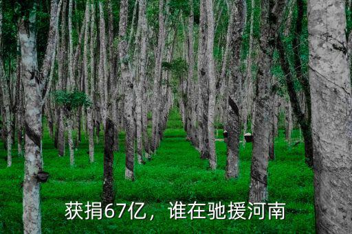 獲捐67億，誰在馳援河南