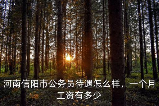 河南信陽市公務員待遇怎么樣，一個月工資有多少