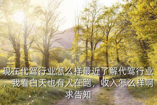 在新鄉(xiāng)跑滴滴代駕怎么樣,我看白天也有人在跑