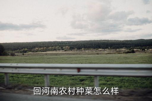 河南人回鄭州怎么樣,北漂回鄭州發(fā)展怎么樣