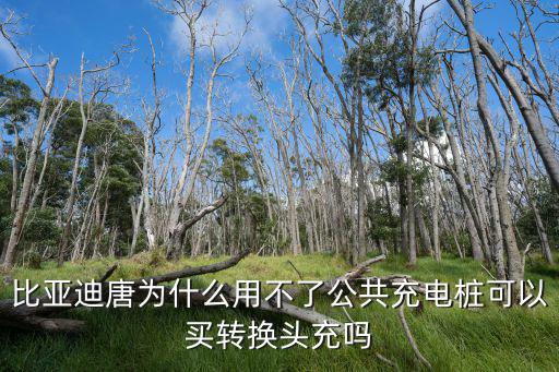 比亞迪唐為什么用不了公共充電樁可以買轉換頭充嗎