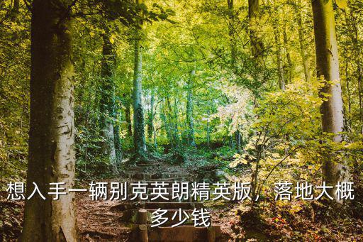 信陽英朗多少錢一輛,想入手一輛別克英朗精英版