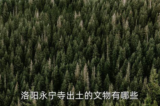 洛陽(yáng)永寧寺出土的文物有哪些