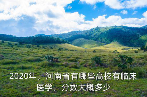 2020年，河南省有哪些高校有臨床醫學，分數大概多少