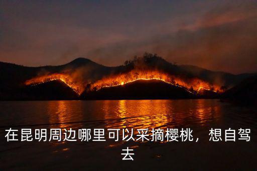 在昆明周邊哪里可以采摘櫻桃，想自駕去