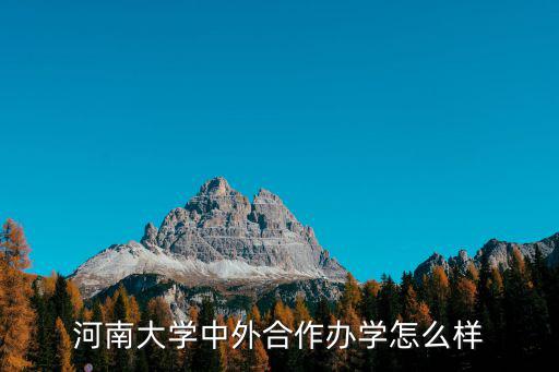河南大學(xué)中外合作辦學(xué)怎么樣