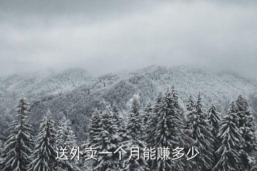 送外賣一個(gè)月能賺多少