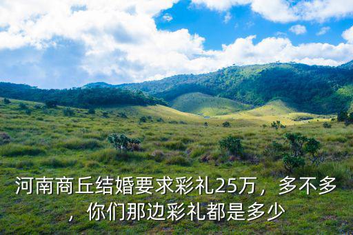 河南商丘結婚要求彩禮25萬，多不多，你們那邊彩禮都是多少