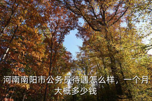 河南南陽市公務(wù)員待遇怎么樣，一個月大概多少錢