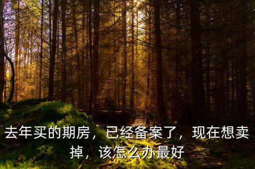 去年買(mǎi)的期房，已經(jīng)備案了，現(xiàn)在想賣(mài)掉，該怎么辦最好