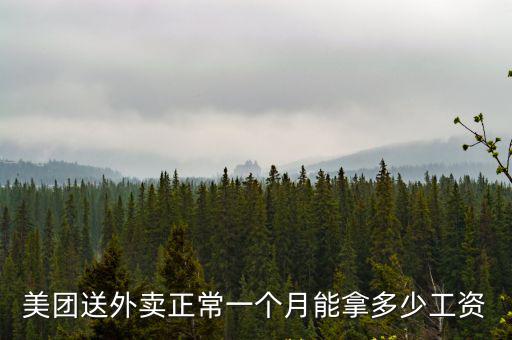 河南桐柏美團(tuán)外賣單價(jià)怎么樣,美團(tuán)外賣單價(jià)低