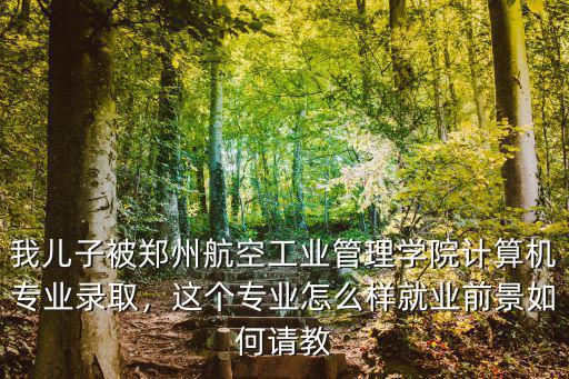 我兒子被鄭州航空工業管理學院計算機專業錄取，這個專業怎么樣就業前景如何請教
