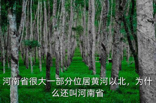 河南省很大一部分位居黃河以北，為什么還叫河南省