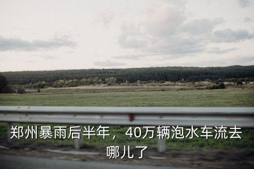 鄭州暴雨后半年，40萬輛泡水車流去哪兒了