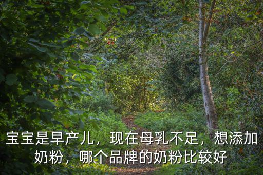 寶寶是早產(chǎn)兒，現(xiàn)在母乳不足，想添加奶粉，哪個(gè)品牌的奶粉比較好
