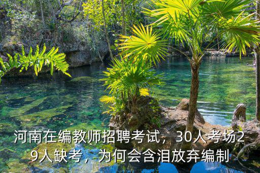 河南在編教師招聘考試，30人考場29人缺考，為何會含淚放棄編制
