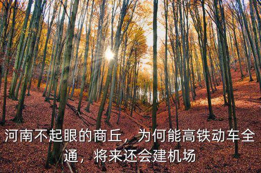 河南商丘虞城伊尹小學(xué)怎么樣,河南不起眼的商丘
