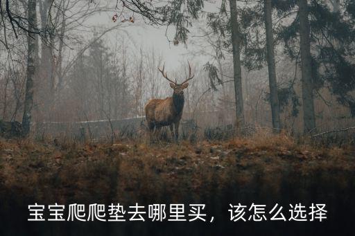 濮陽哪里有賣爬爬墊的,寶寶爬爬墊去哪里買
