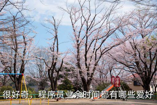 很好奇，程序員業(yè)余時(shí)間都有哪些愛(ài)好