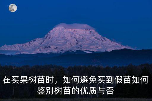 河南果樹(shù)苗在哪里買,在哪里買果樹(shù)苗比較靠譜