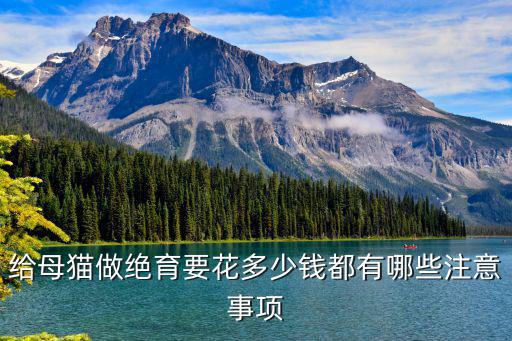 給母貓做絕育要花多少錢都有哪些注意事項