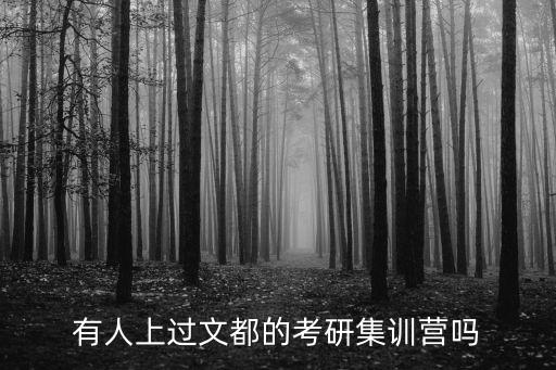 有人上過文都的考研集訓(xùn)營嗎