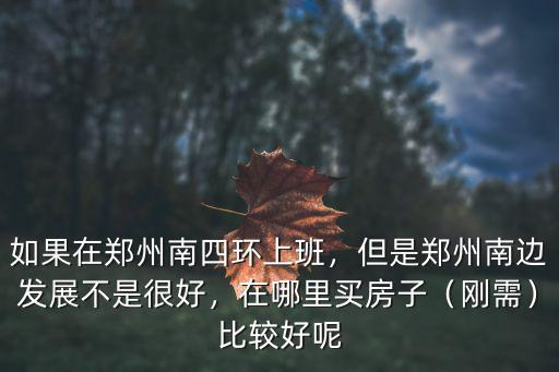 如果在鄭州南四環上班，但是鄭州南邊發展不是很好，在哪里買房子（剛需）比較好呢