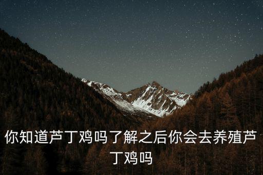 你知道蘆丁雞嗎了解之后你會去養殖蘆丁雞嗎