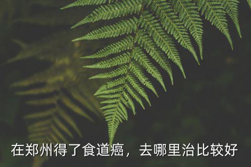 在鄭州得了食道癌，去哪里治比較好