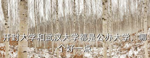 開封大學(xué)是哪里地方的,河南大學(xué)和開封大學(xué)都在開封