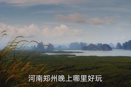 鄭州哪里有免費的燈展,鄭州哪里的花燈比較好