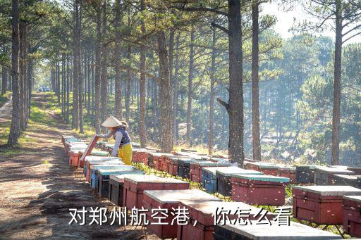 鄭州航空港建業(yè)云境怎么樣,對(duì)鄭州航空港