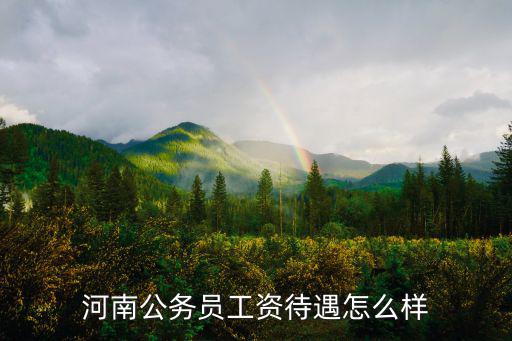 河南公務(wù)員工資待遇怎么樣