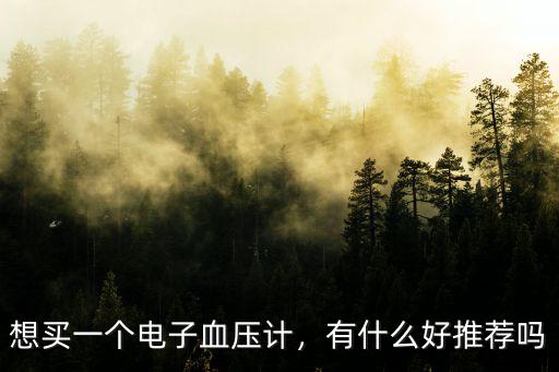 想買一個(gè)電子血壓計(jì)，有什么好推薦嗎