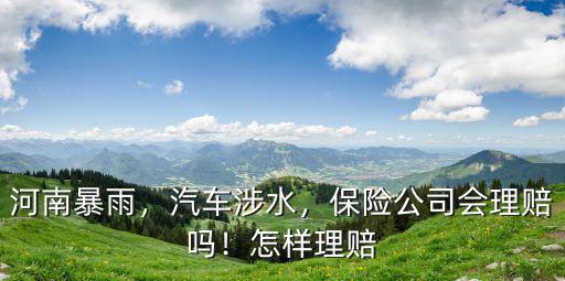 鄭州暴雨保險公司理賠多少,請問保險公司理賠壓力大嗎