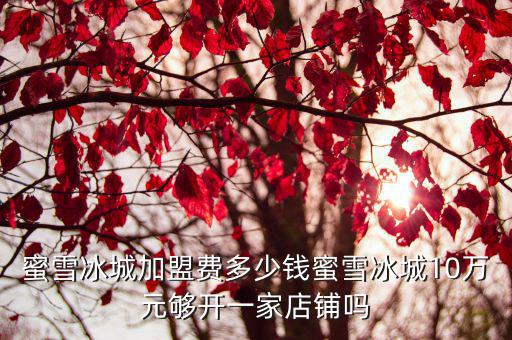 蜜雪冰城加盟費(fèi)多少錢(qián)蜜雪冰城10萬(wàn)元夠開(kāi)一家店鋪嗎