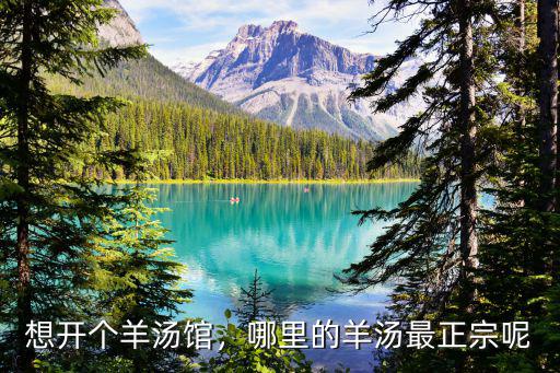周口哪里羊湯館最好,想開個羊湯館