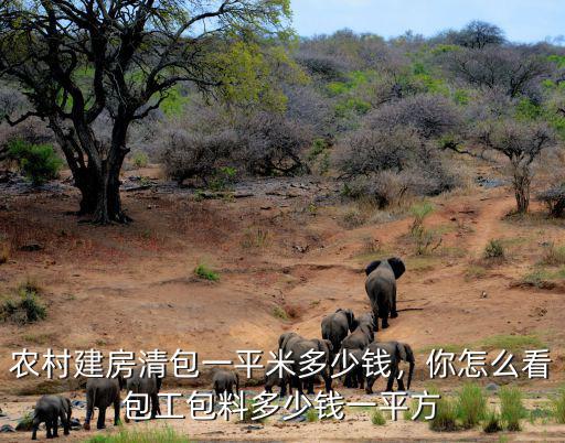 周口鹿邑農(nóng)村蓋房多少錢一平米,農(nóng)村建房清包一平米多少錢