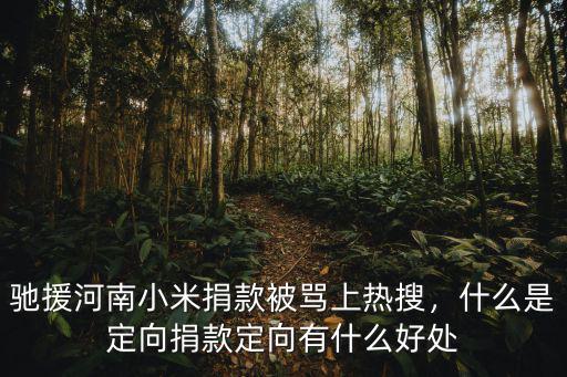 鄭州捐款怎么捐款,什么是定向捐款