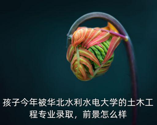孩子今年被華北水利水電大學的土木工程專業錄取，前景怎么樣