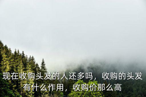 現在收購頭發的人還多嗎，收購的頭發有什么作用，收購價那么高